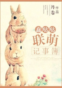 包玉婷全文免费阅读