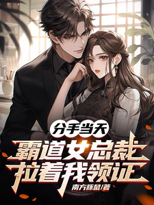 战长沙小说