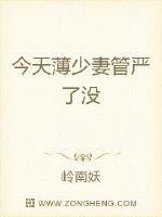 合伙人电视剧免费版
