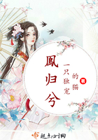 解决女婿的需要的小说