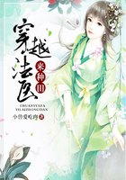 我的空姐老婆
