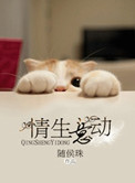 轮乱