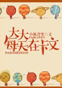 妻子的通歼2韩国中文
