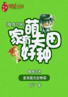 最近日本韩国高清免费大全