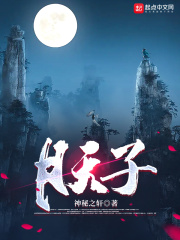 叶锋洪青烟小说最新章节