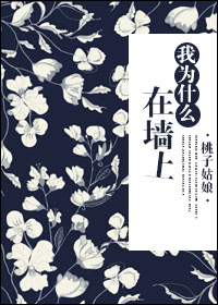 王瑞儿视频完整版100集