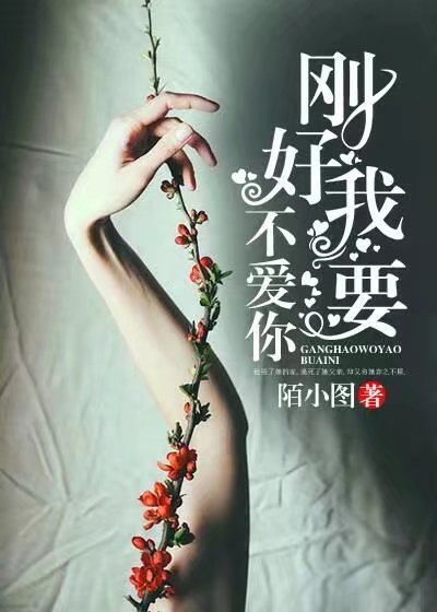 高照清雅