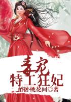 沙滩排球3乳液