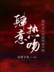 台湾杨贵妃三十集版