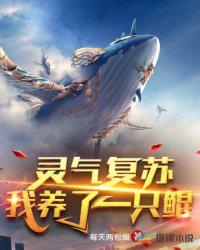 99zyz资源稳定更新