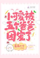 胖芙相同风格小说