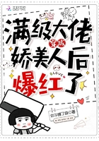 我是赵甲第小说