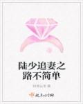 女总裁的全能兵王小说