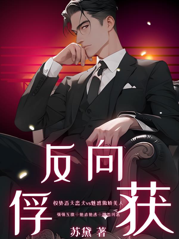 理论视频