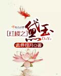 谍影连续剧全集免费观看高清
