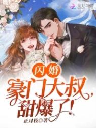 总裁的私有宝贝 祸水泱泱 小说