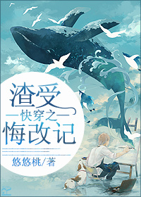 手机通话录音在哪里找