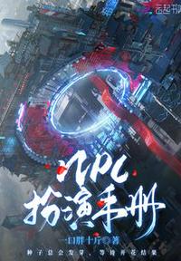 另一类ZoomVCR