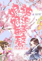 国产凌凌漆粤语版