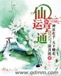 黄车车好快的车尺寸大
