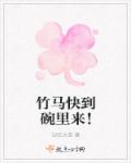 阿里布达年代记未删节