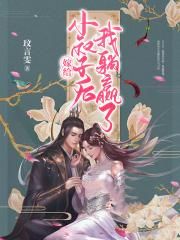 一品官途