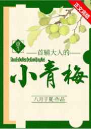 罪城免费阅读