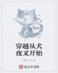 遇龙小说