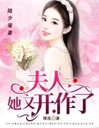 宠妻如命傅少隐婚请低调