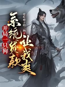 free性video西欧极品