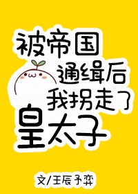 男女性动态