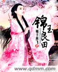 种子帝搜