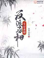 我和黑帮老大的365日