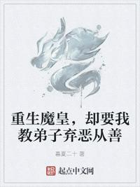 灰熊宝盒