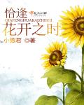 无人视频在线观看免费下载播放