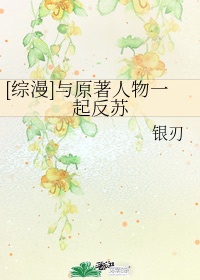综影视伪装者