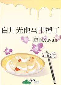 家庭合集全文阅读全文