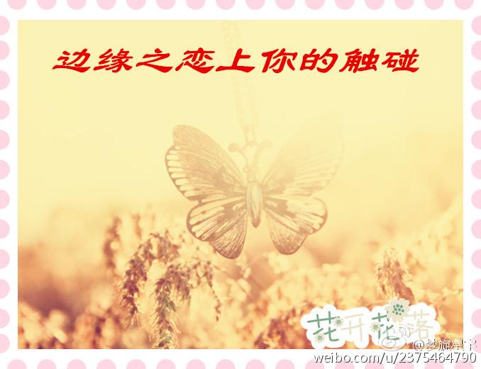 小宝贝直播软件破解版