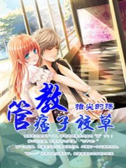 婆婆来了电视剧全集26