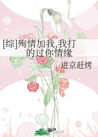 老陈小说
