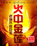 赵美蓉