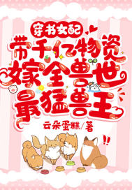 骗中传奇国语全集