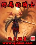 天网2024
