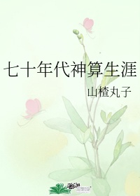 风车动漫530手机版