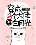 丰满娇妻镇2在线观看