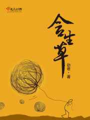 4408首播影院