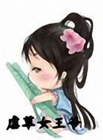 艳婢桃儿包书