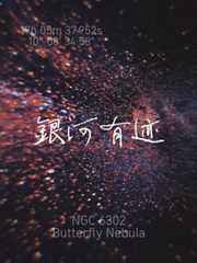 免费看女生的隐私部位