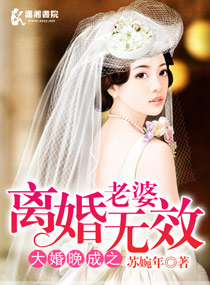 妻中蜜在线观看完整版