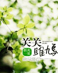 怂怂
